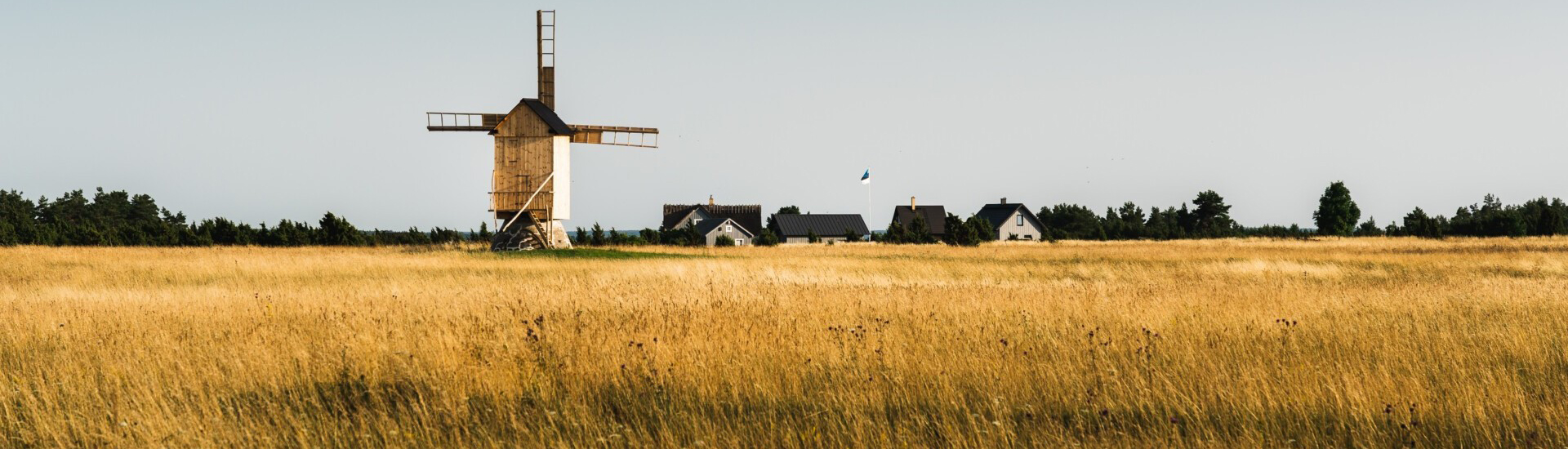 Otsi Saaremaa Minusaaremaa.ee