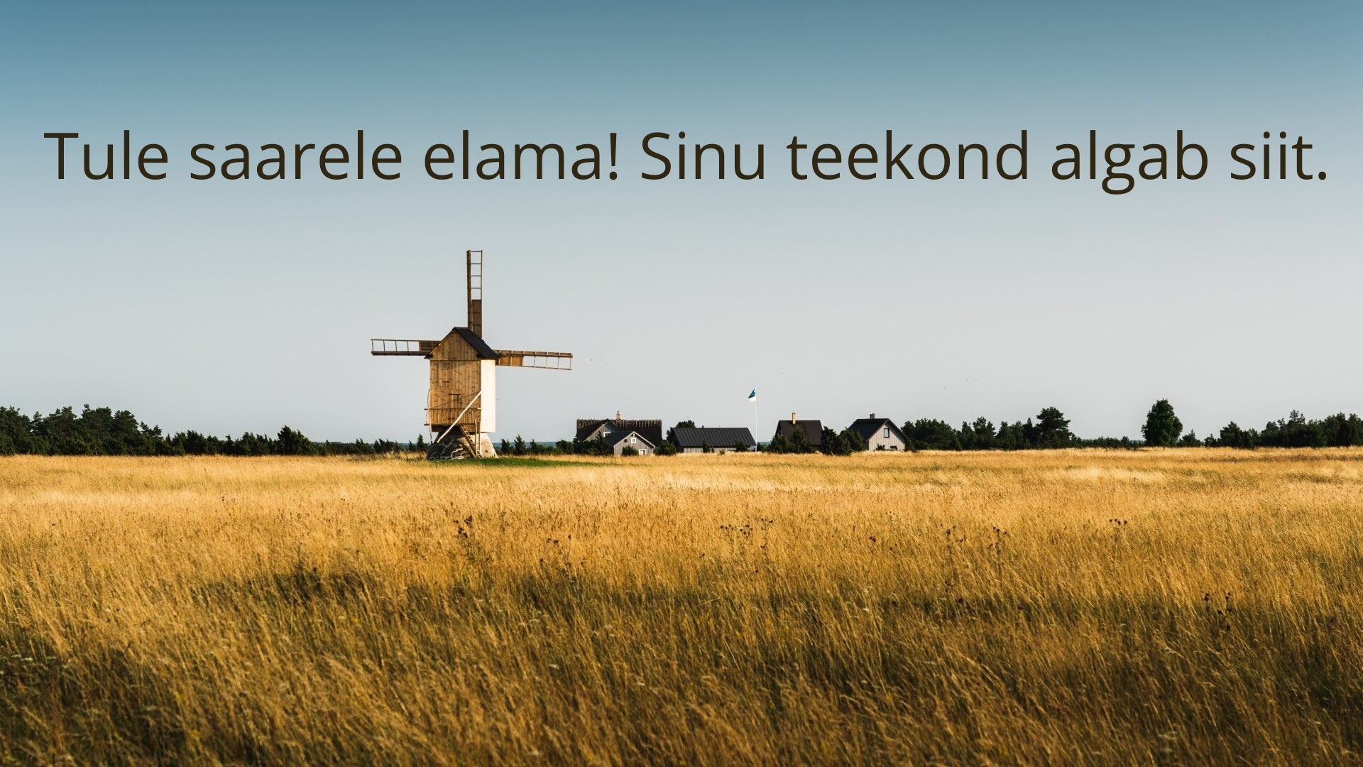 test Saaremaa Minusaaremaa.ee