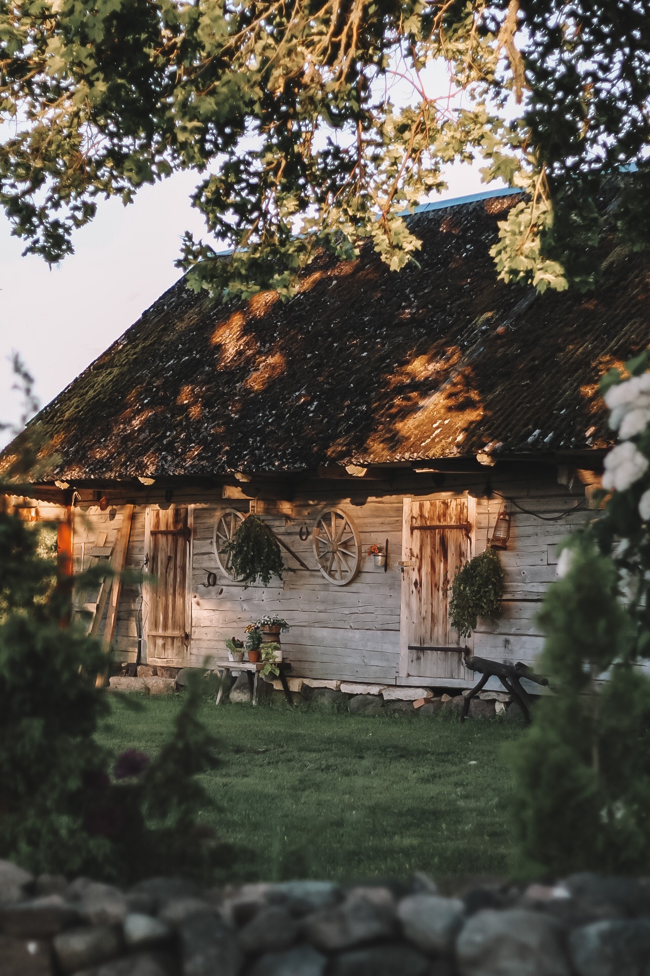 Real estate ads Saaremaa Minusaaremaa.ee