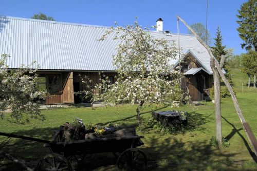 Lemmik Kaubanduse OÜ